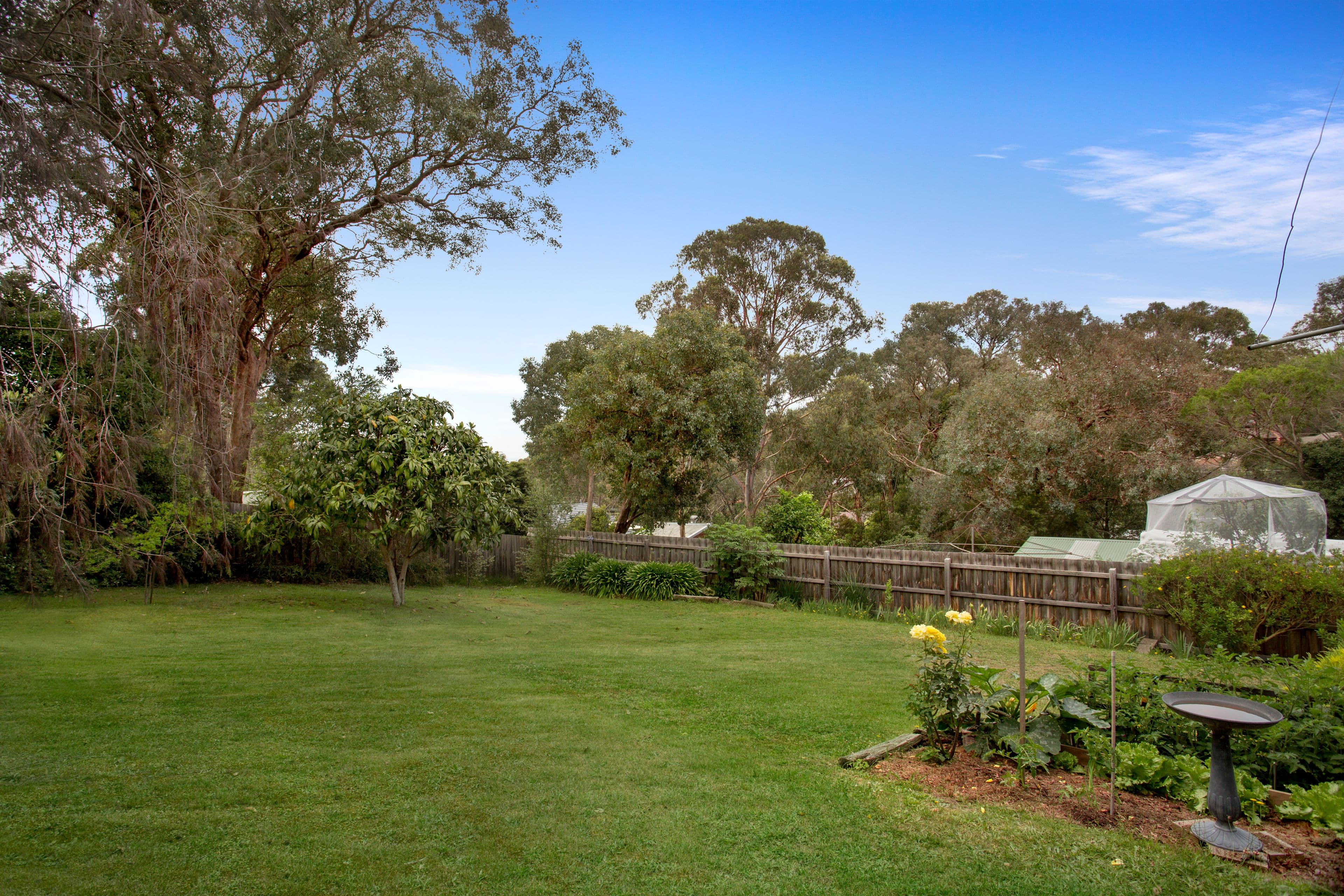 10 Lorraine Drive, Briar Hill VIC 3088, Briar Hill - Thumbnail 3
