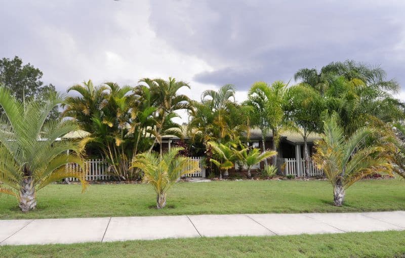 8 Sturt Drive, REDBANK PLAINS QLD 4301, Redbank Plains - Thumbnail 5