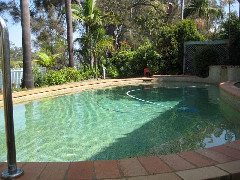46 Guineas Creek Road, CURRUMBIN WATERS QLD 4223, Currumbin Waters - Thumbnail 6