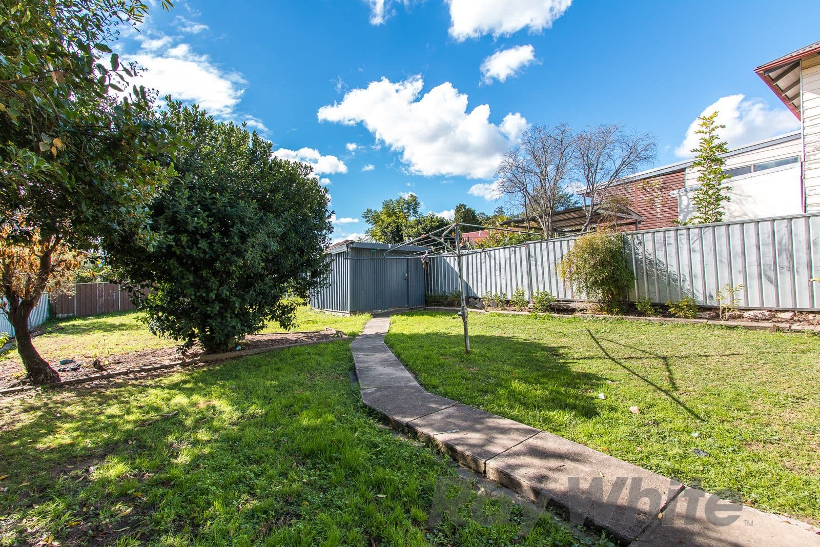 95 Lorna Street, Waratah West - Thumbnail 6
