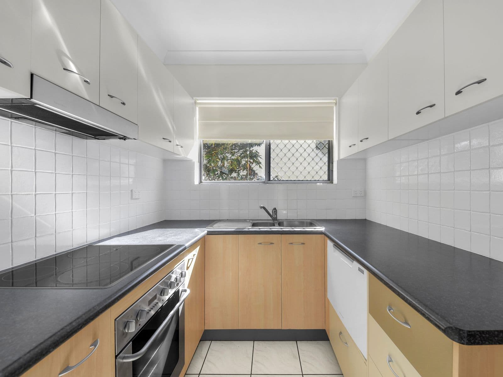17 Magdala Street, Ascot QLD 4007, Ascot - Thumbnail 5