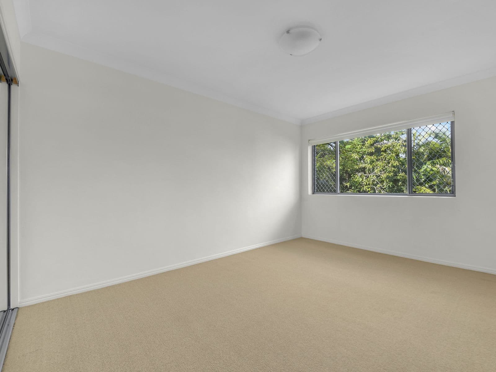 17 Magdala Street, Ascot QLD 4007, Ascot - Thumbnail 6