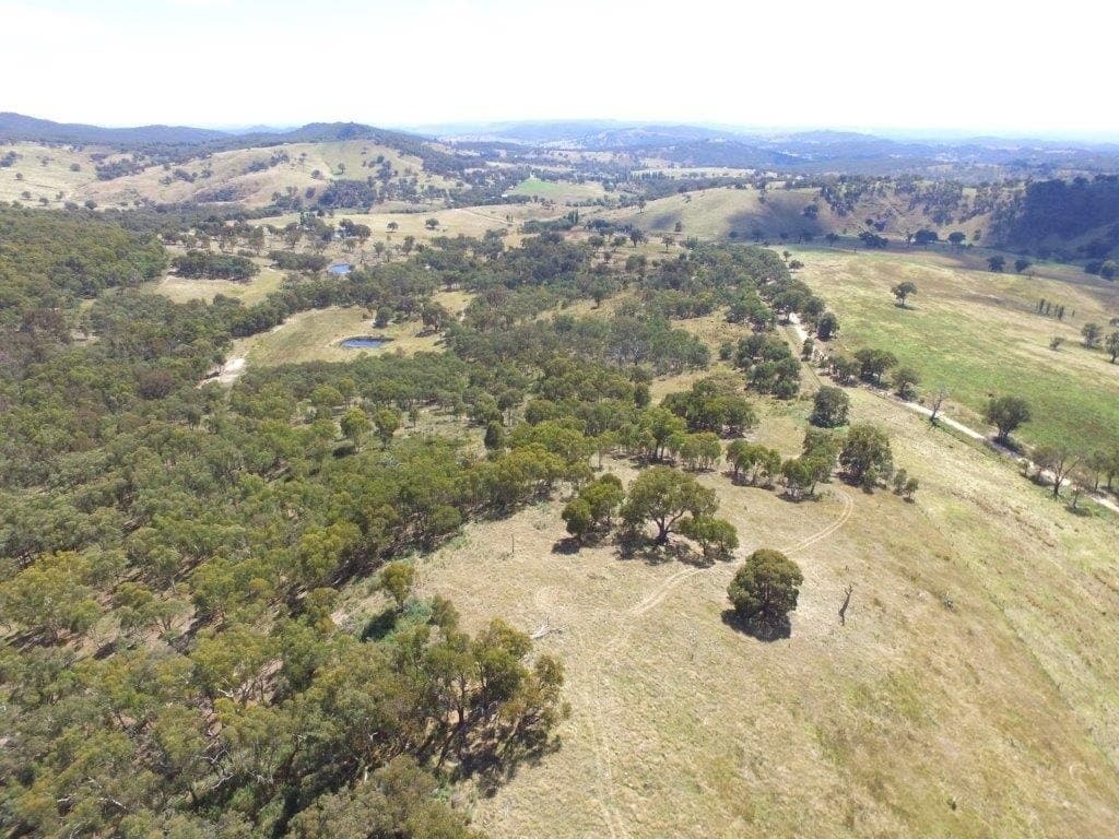 Lot 72,  Kangaloolah Road, Peelwood - Thumbnail 2