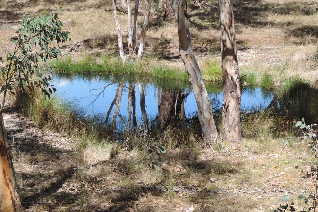 Lot 72,  Kangaloolah Road, Peelwood - Thumbnail 5