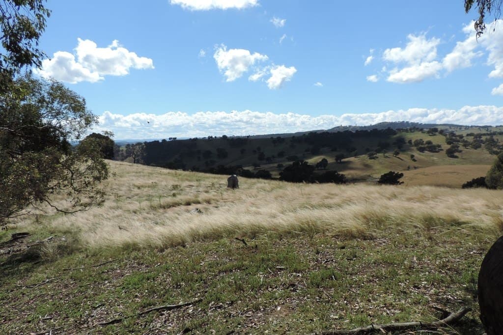 Lot 72,  Kangaloolah Road, Peelwood - Thumbnail 7