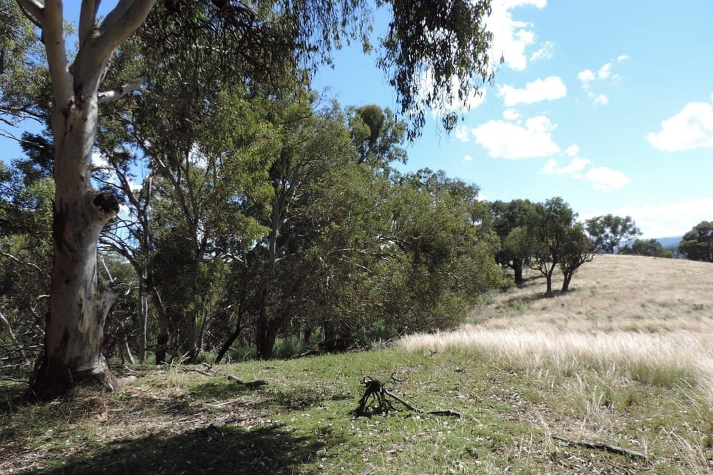 Lot 72,  Kangaloolah Road, Peelwood - Thumbnail 8