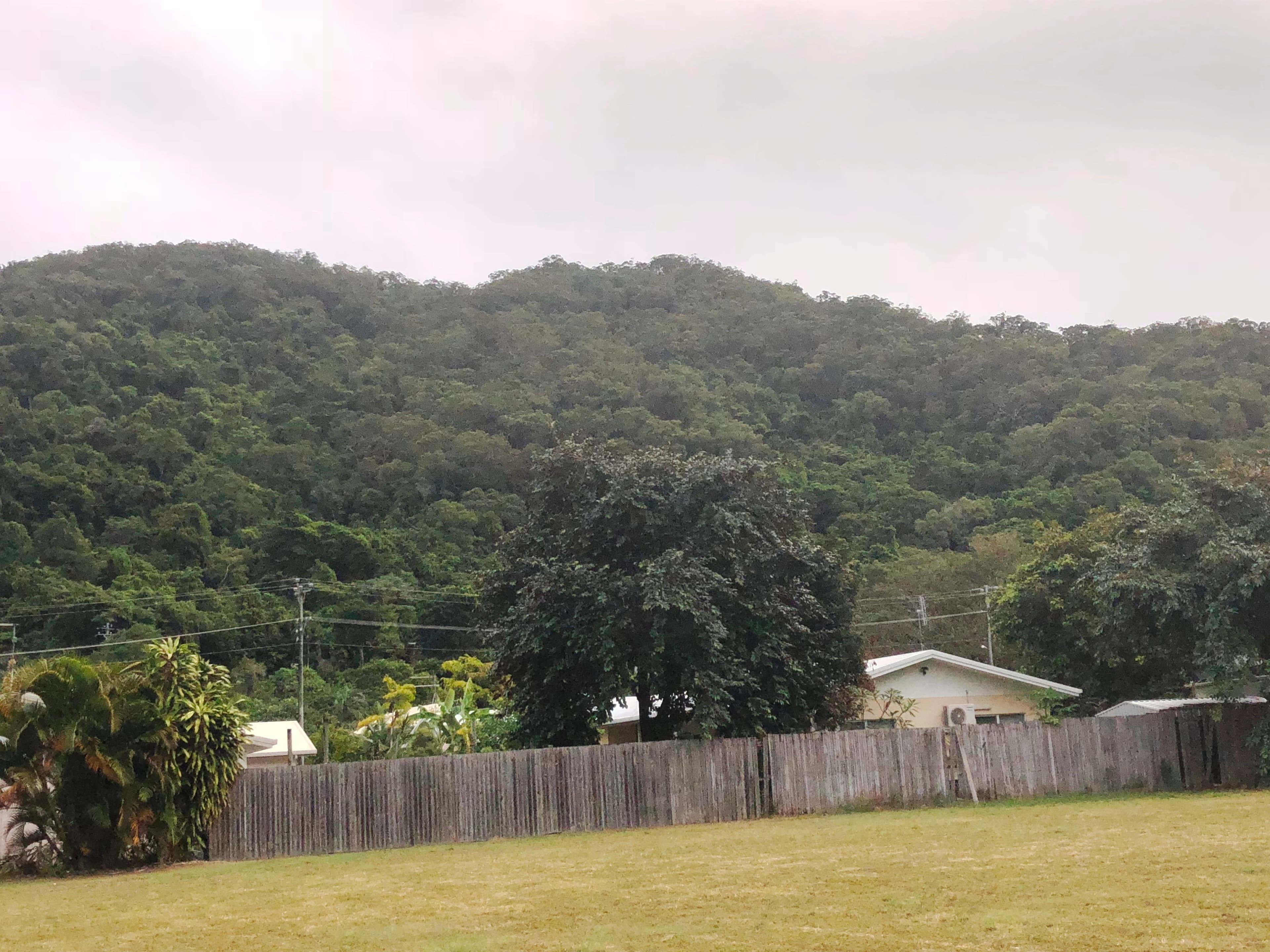16-20 Oleander Drive, Wonga Beach QLD 4873, Wonga Beach - Thumbnail 7