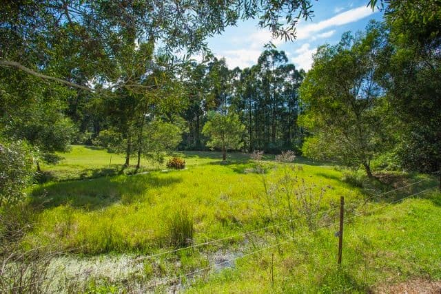 633 Main Creek Road, Dungog NSW 2420, Dungog - Thumbnail 2