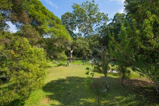 633 Main Creek Road, Dungog NSW 2420, Dungog - Thumbnail 3