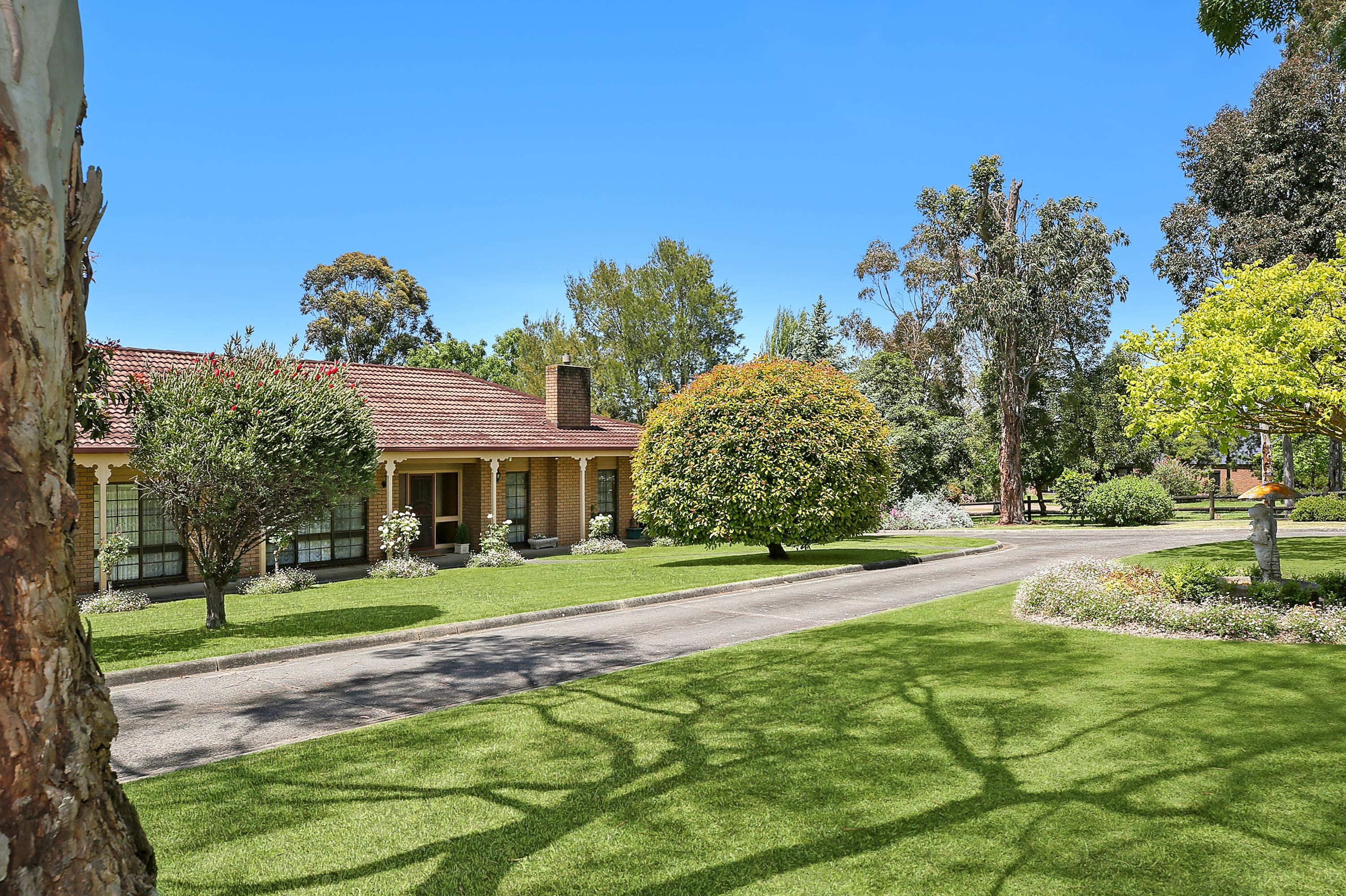 3 Lovett Street, Camperdown VIC 3260, Camperdown - Thumbnail 4