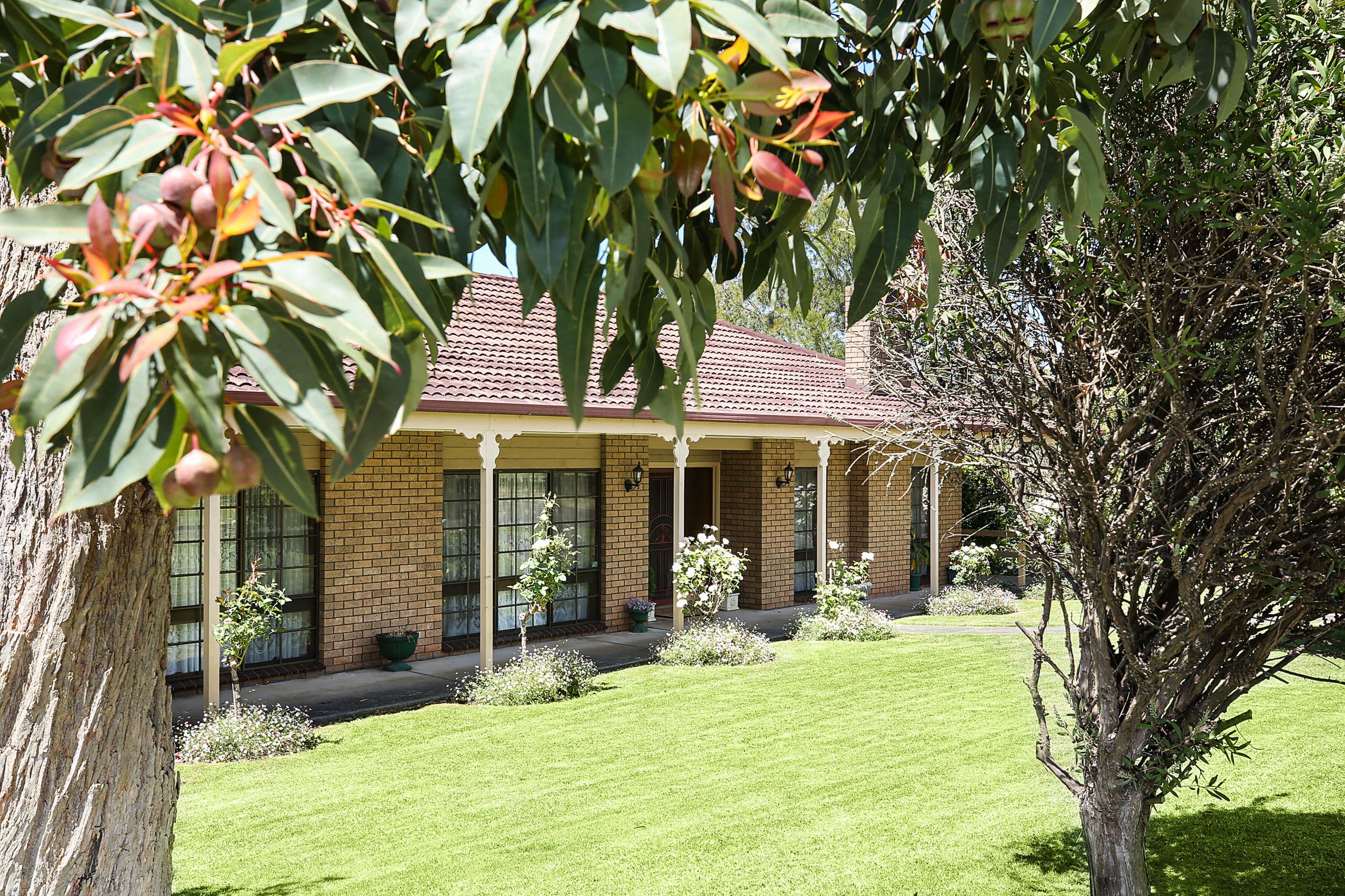 3 Lovett Street, Camperdown VIC 3260, Camperdown - Thumbnail 5