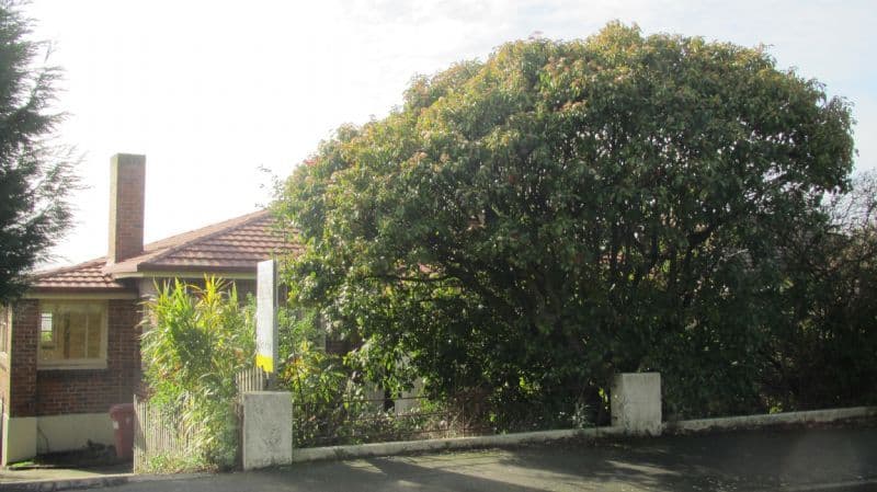 9 Granville Street, WEST LAUNCESTON TAS 7250, West Launceston - Image 1