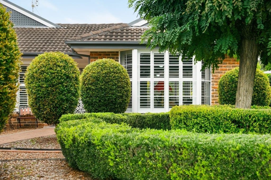 60 Turnbull Drive, East Maitland - Thumbnail 2