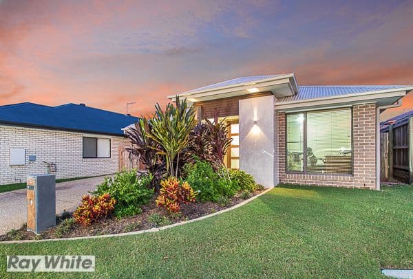 43 Elderflower Circuit, Griffin QLD 4503, Griffin - Thumbnail 3