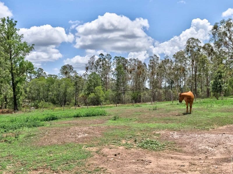 19 Pilerwa Road, Mungar QLD 4650, Mungar - Thumbnail 8