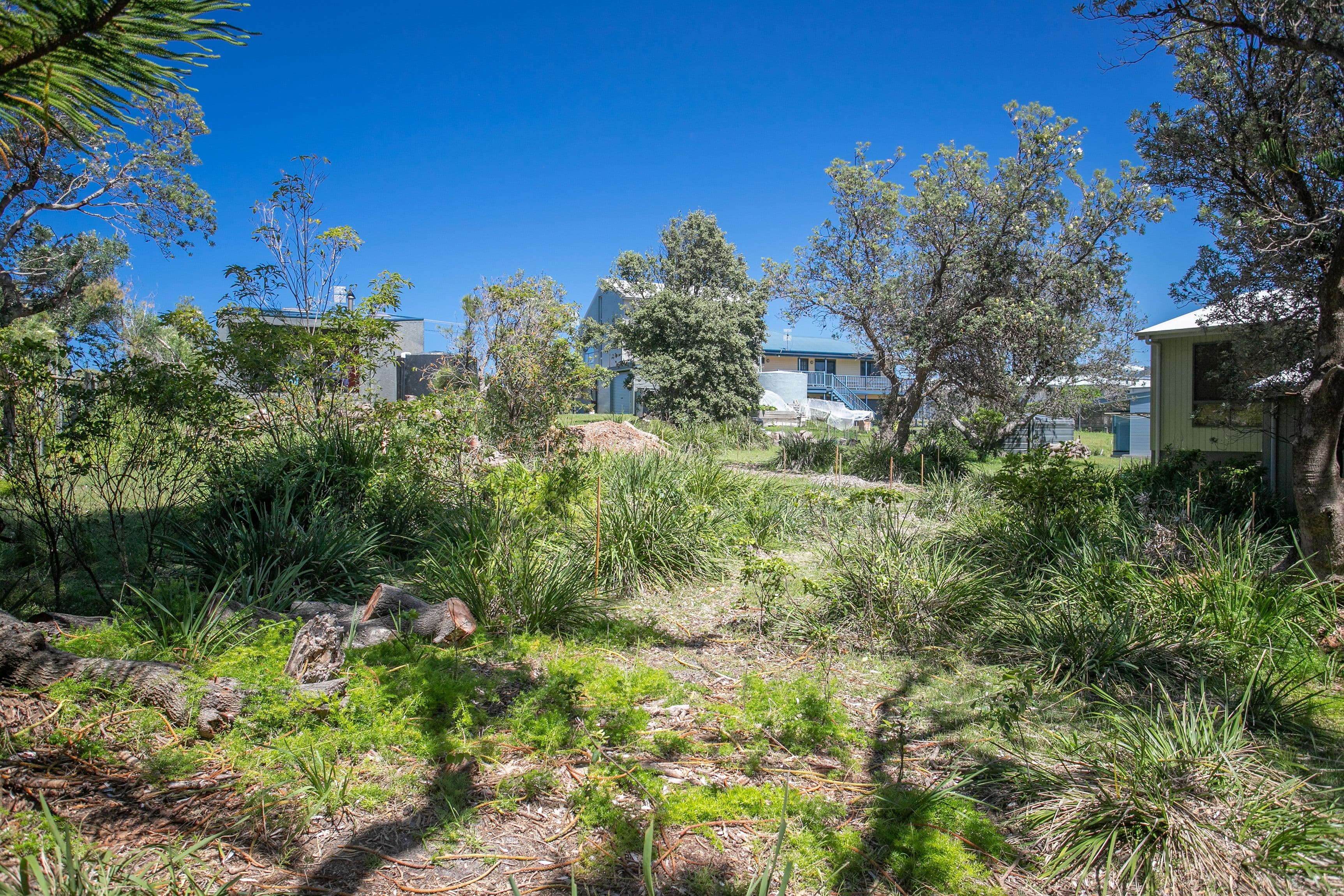 71 Kurrawa Drive, Kioloa NSW 2539, Kioloa - Thumbnail 5