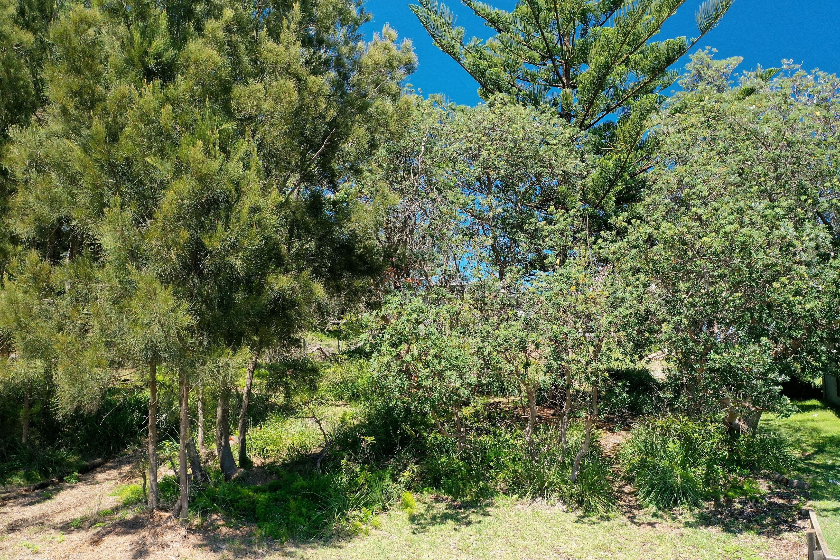 71 Kurrawa Drive, Kioloa NSW 2539, Kioloa - Thumbnail 6