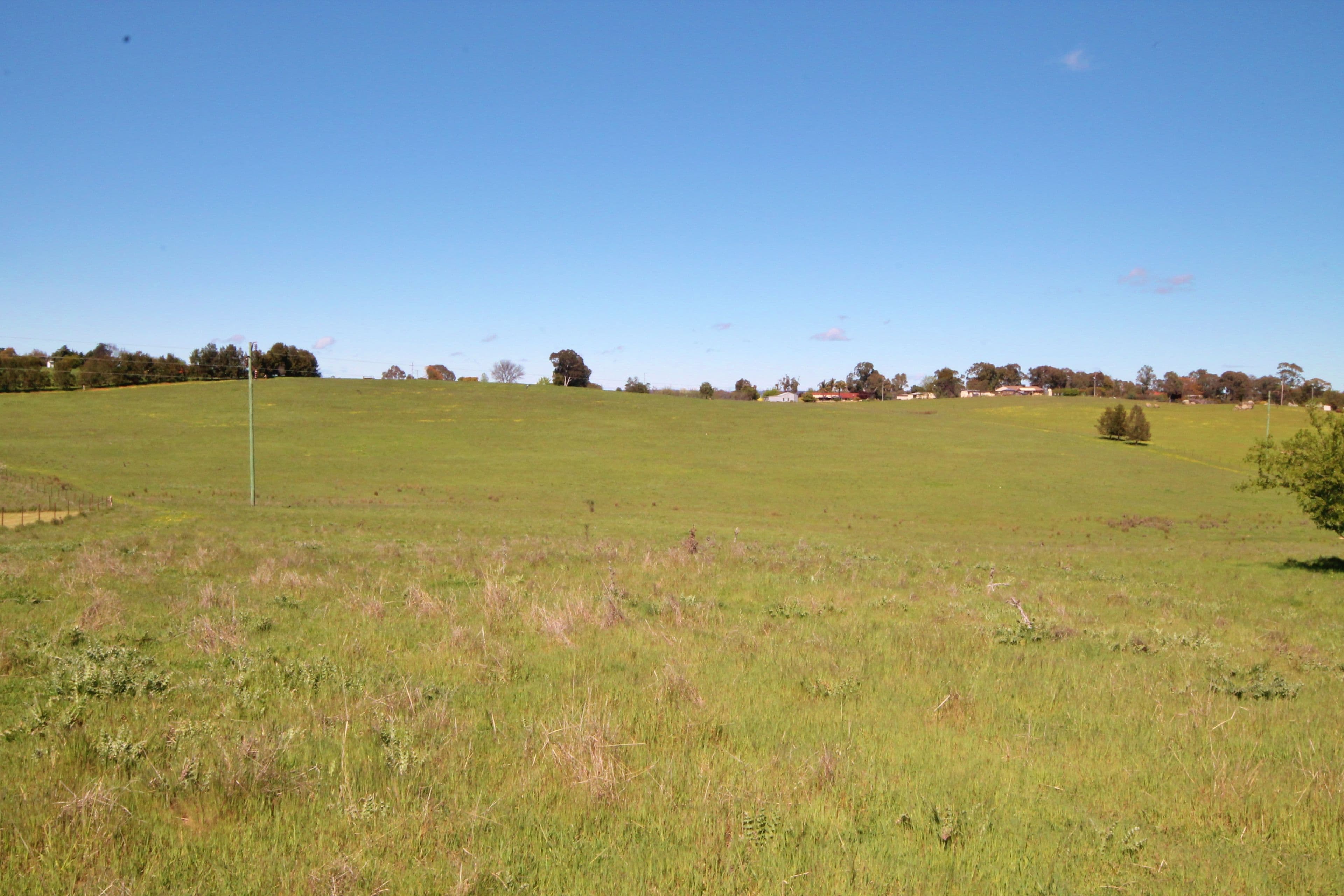 195 Henry Lawson Way, Young NSW 2594, Young - Thumbnail 4