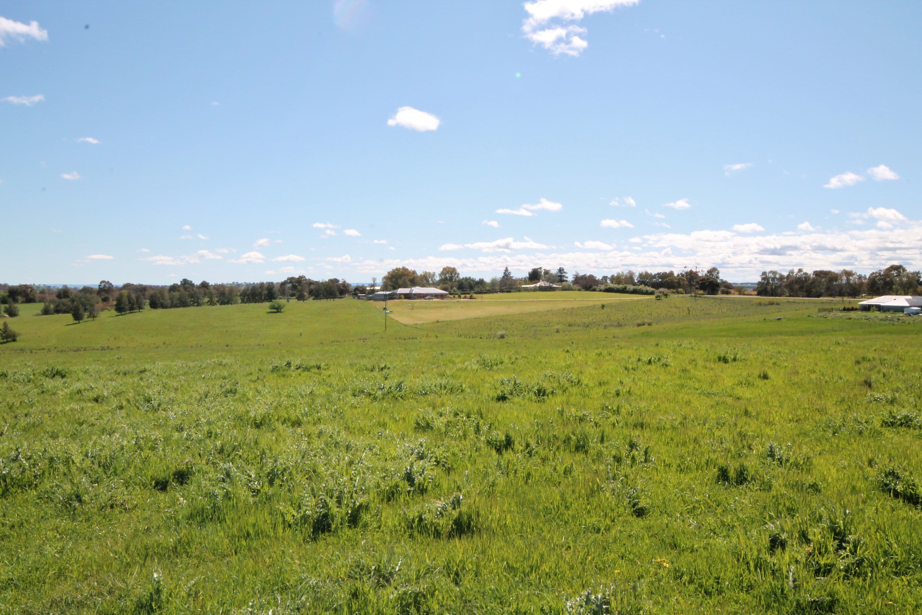 195 Henry Lawson Way, Young NSW 2594, Young - Thumbnail 8