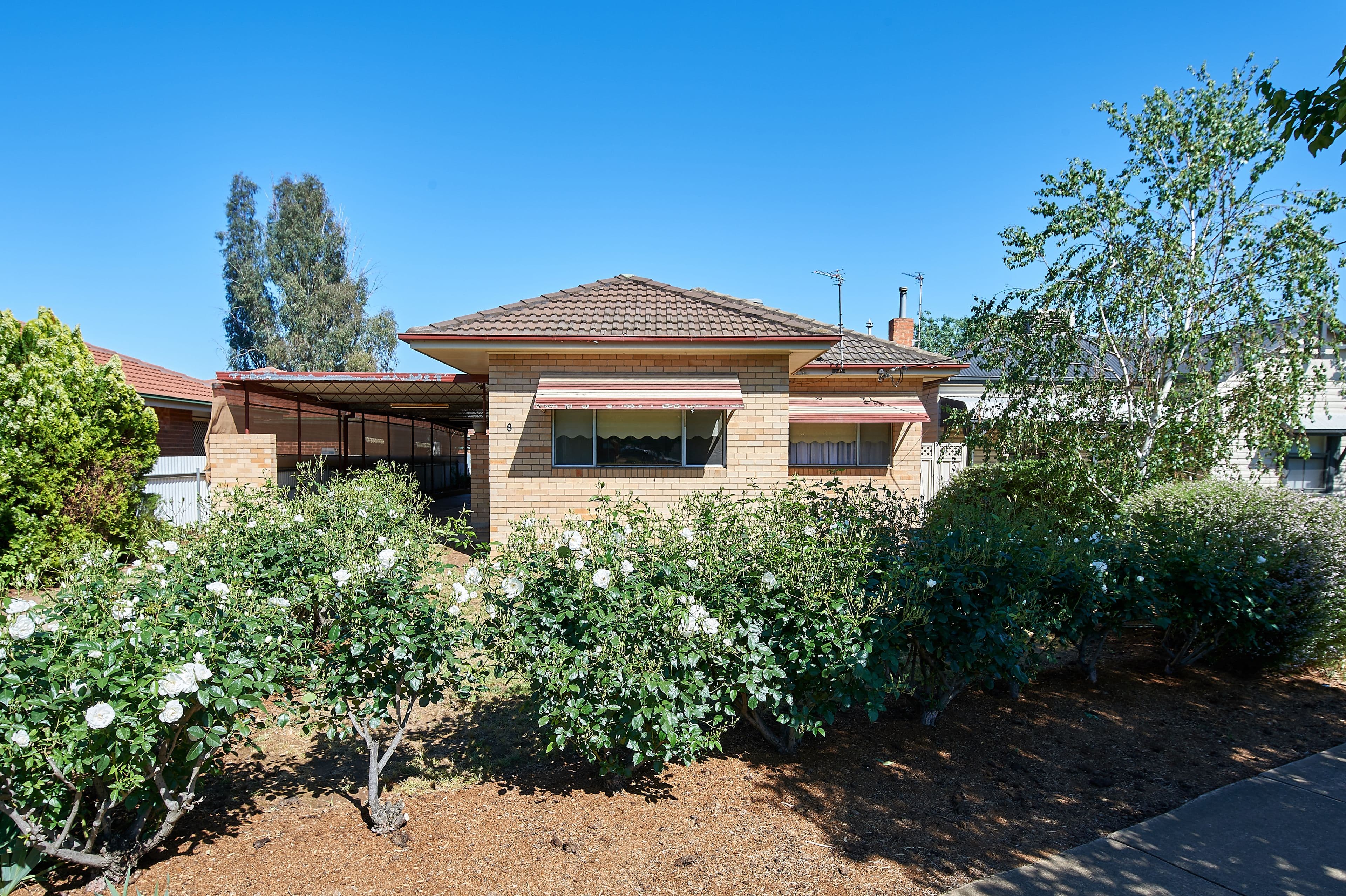 8 Shaw Street, Wagga Wagga - Image 1