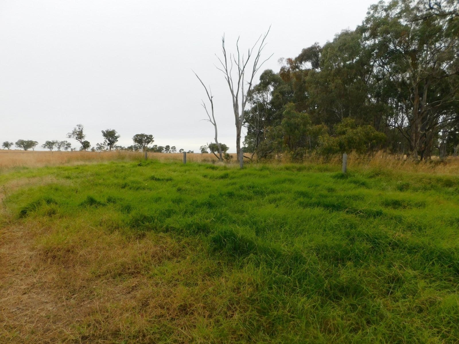 6967 Toowoomba Karara Road, Karara, QLD 4352, Karara - Thumbnail 4