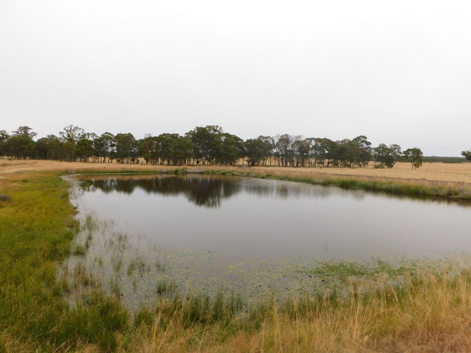 6967 Toowoomba Karara Road, Karara, QLD 4352, Karara - Thumbnail 5