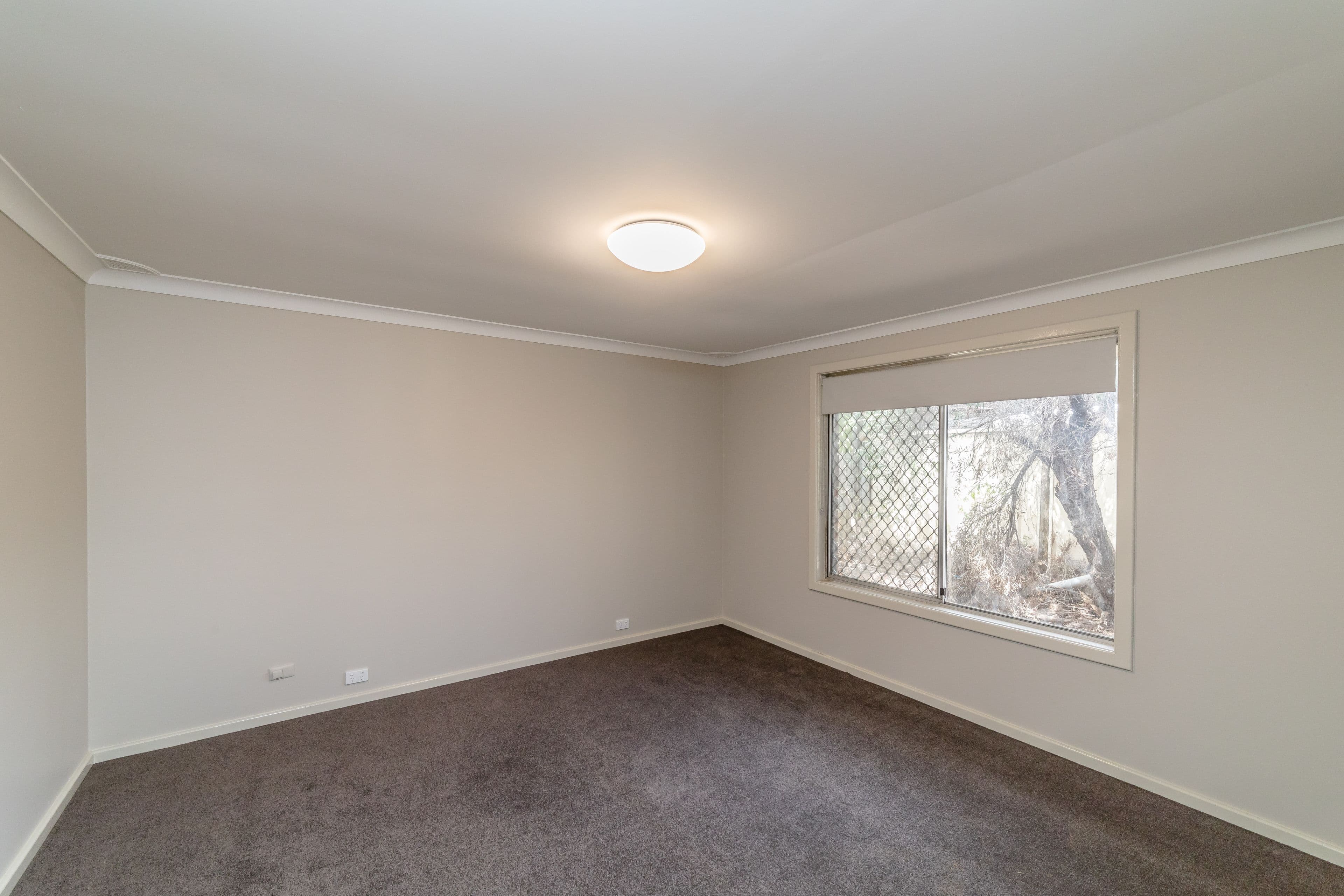 86 Abraham Street, Utakarra WA 6530, Utakarra - Thumbnail 4