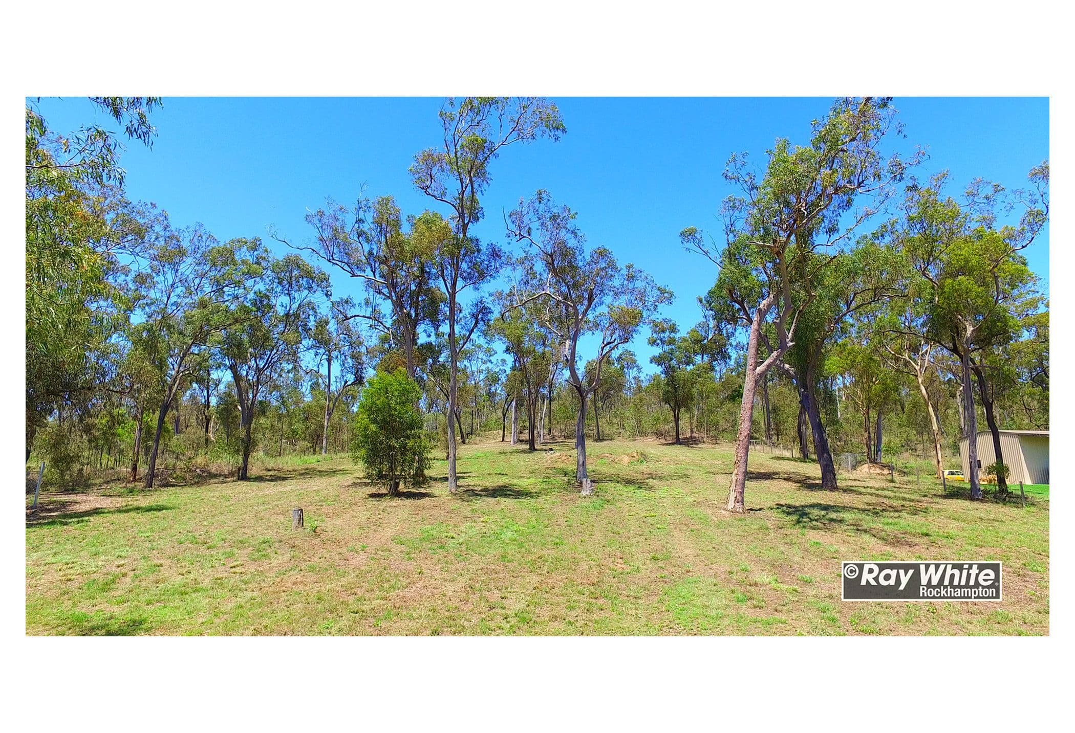 3 Brumby Drive, Tanby QLD 4703, Tanby - Thumbnail 2