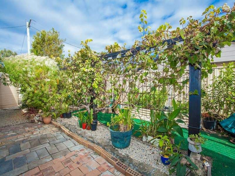 28 Kippah Street, Deception Bay QLD 4508, Deception Bay - Thumbnail 5