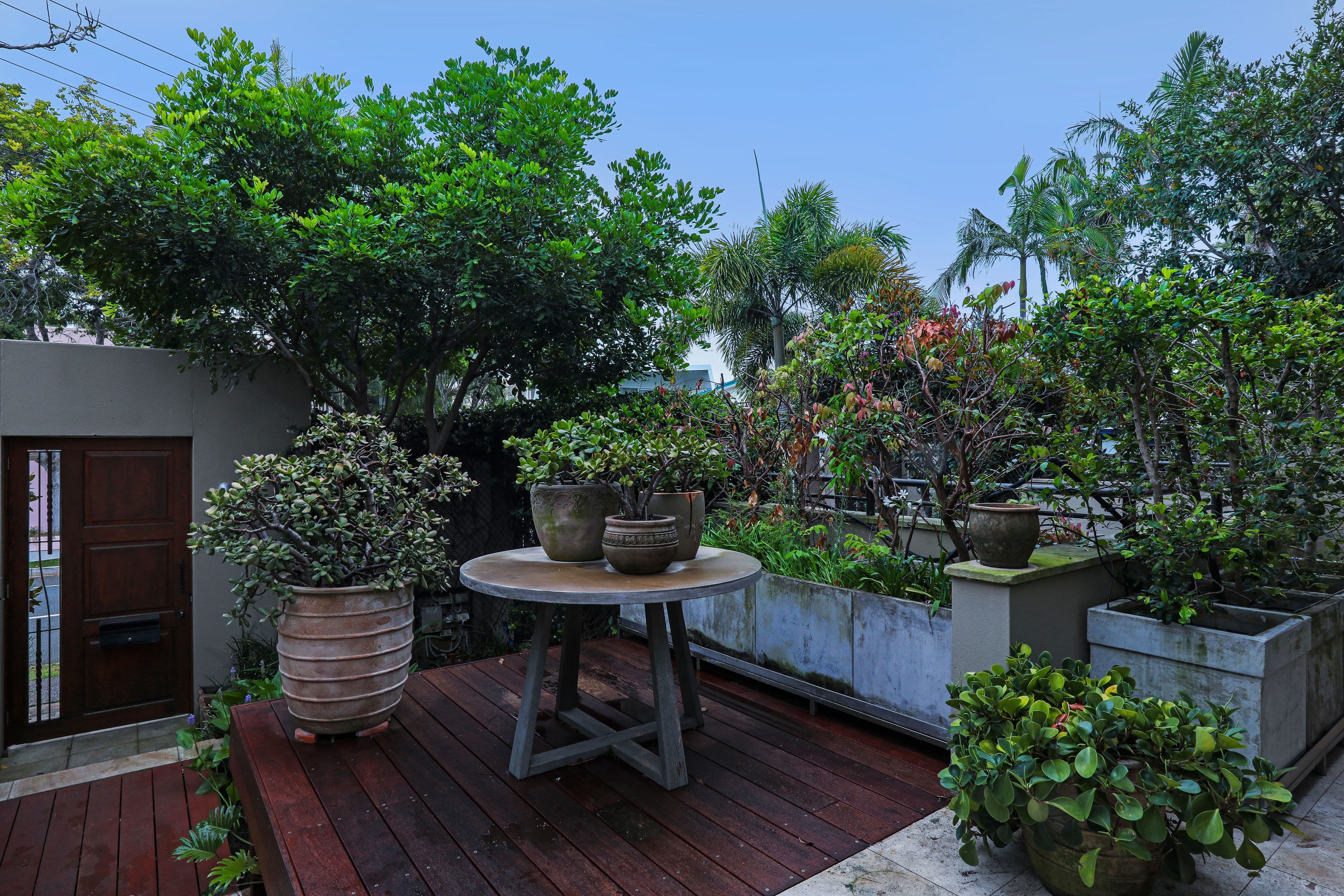 47 Peak Avenue, Main Beach QLD 4217, Main Beach - Thumbnail 6