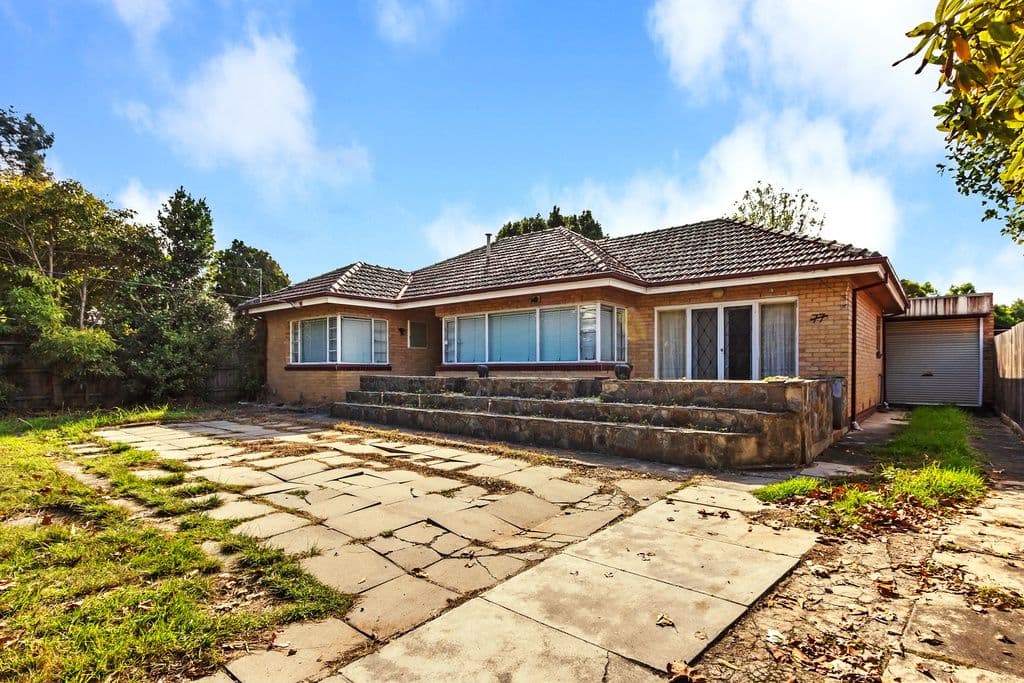 77 Albion Road, BOX HILL VIC 3128, Box Hill - Thumbnail 4