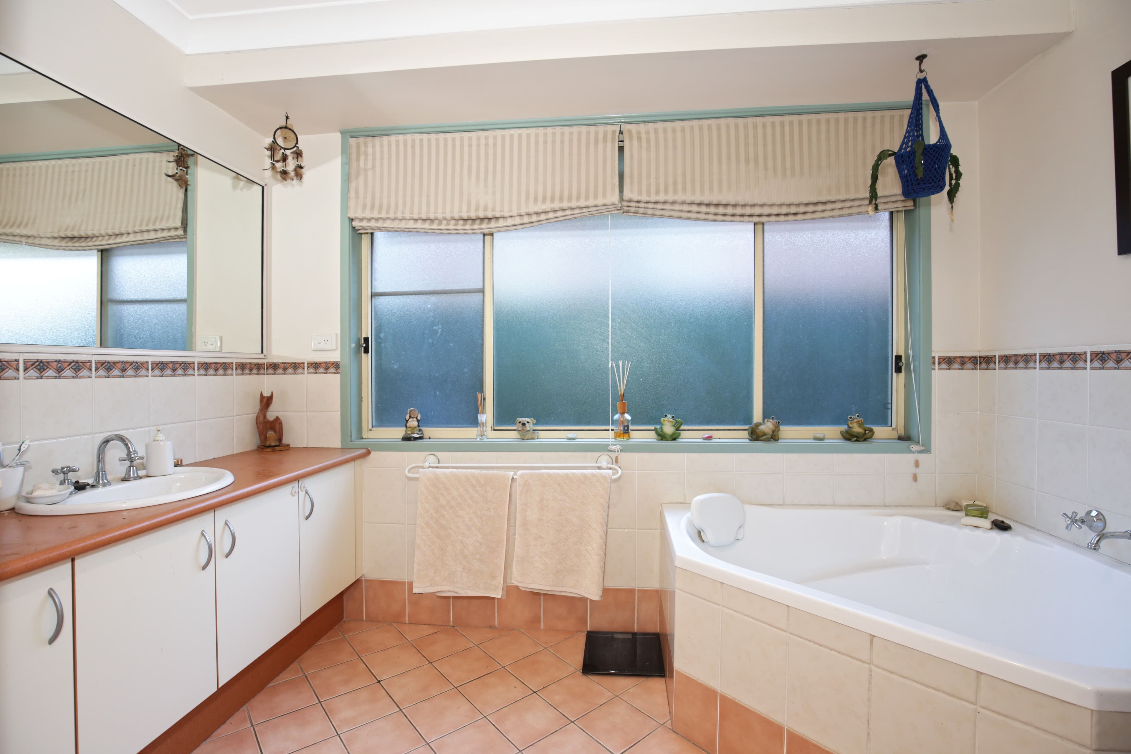 16 Isa Road, Worrigee - Thumbnail 6