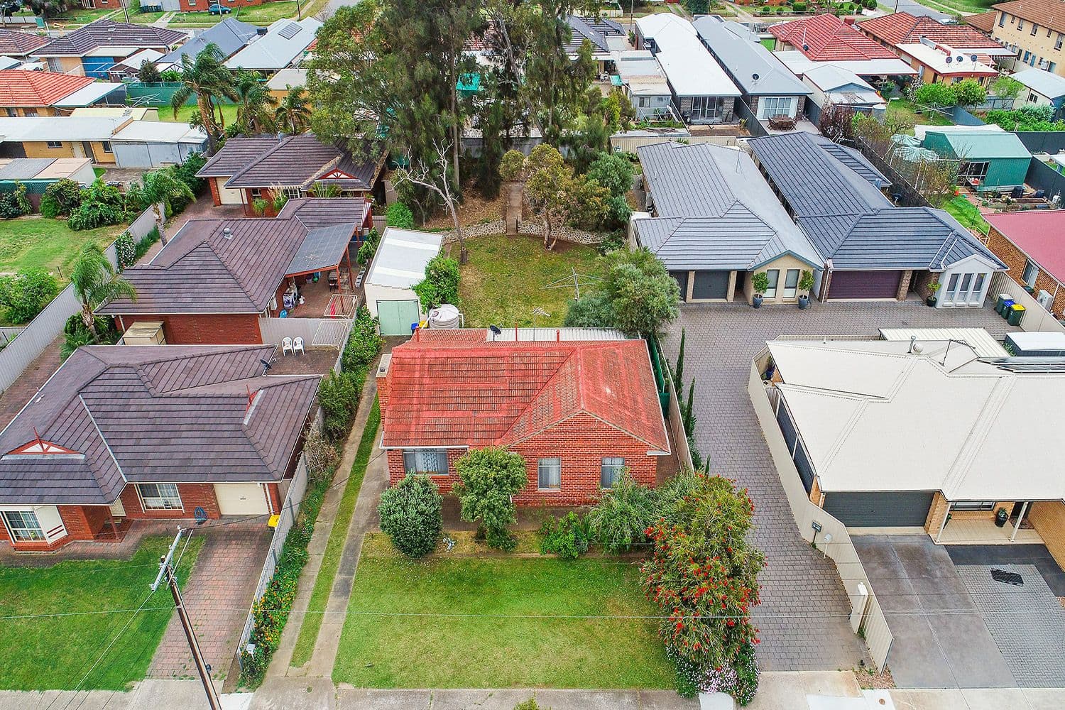 24 Alfred Avenue, Seaton SA 5023, Seaton - Thumbnail 3
