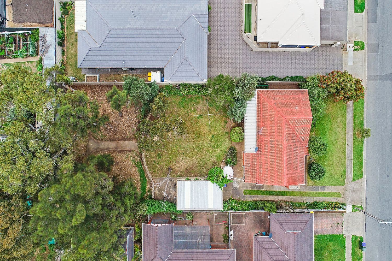 24 Alfred Avenue, Seaton SA 5023, Seaton - Thumbnail 4