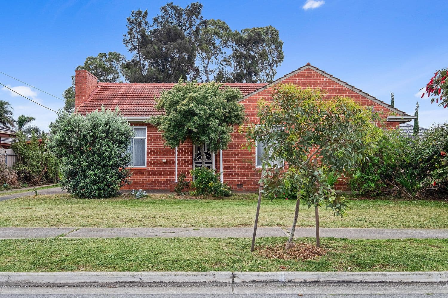 24 Alfred Avenue, Seaton SA 5023, Seaton - Thumbnail 6