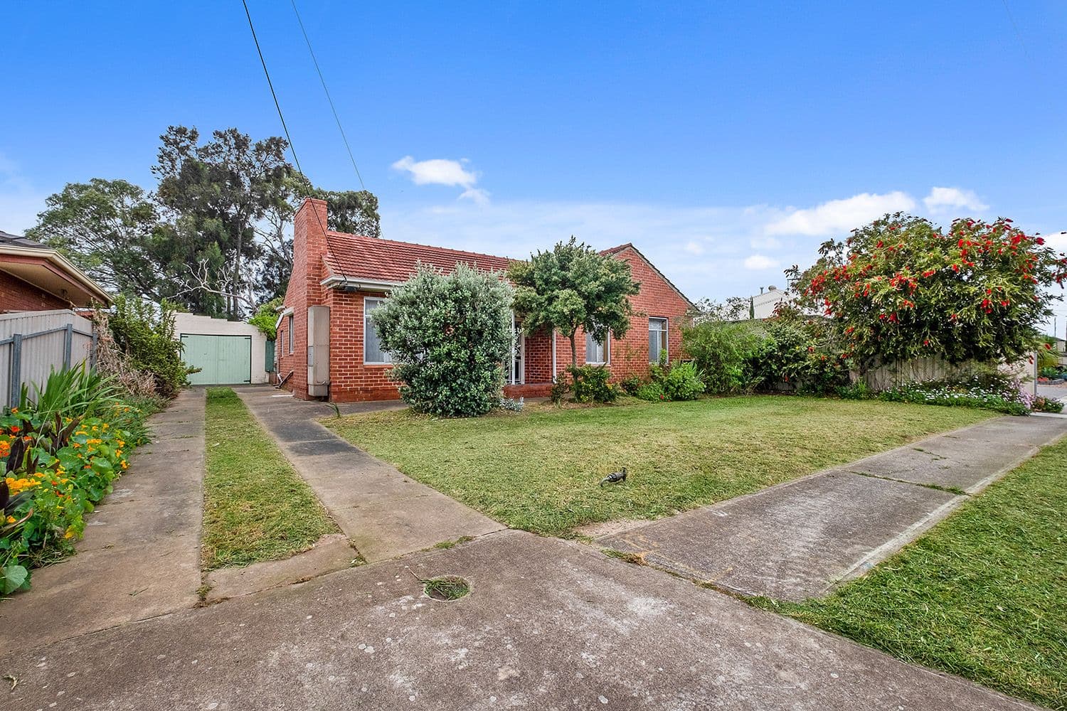 24 Alfred Avenue, Seaton SA 5023, Seaton - Thumbnail 8