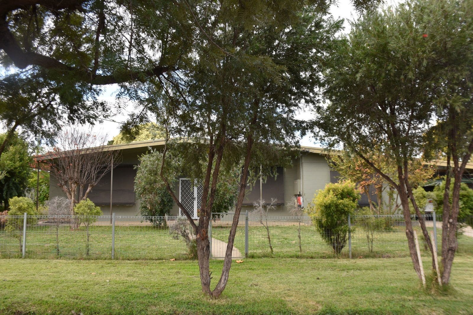 42 Boston Street, Moree NSW 2400, Moree - Image 1
