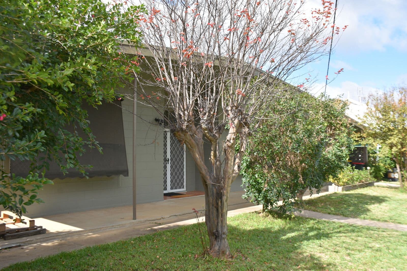 42 Boston Street, Moree NSW 2400, Moree - Thumbnail 4