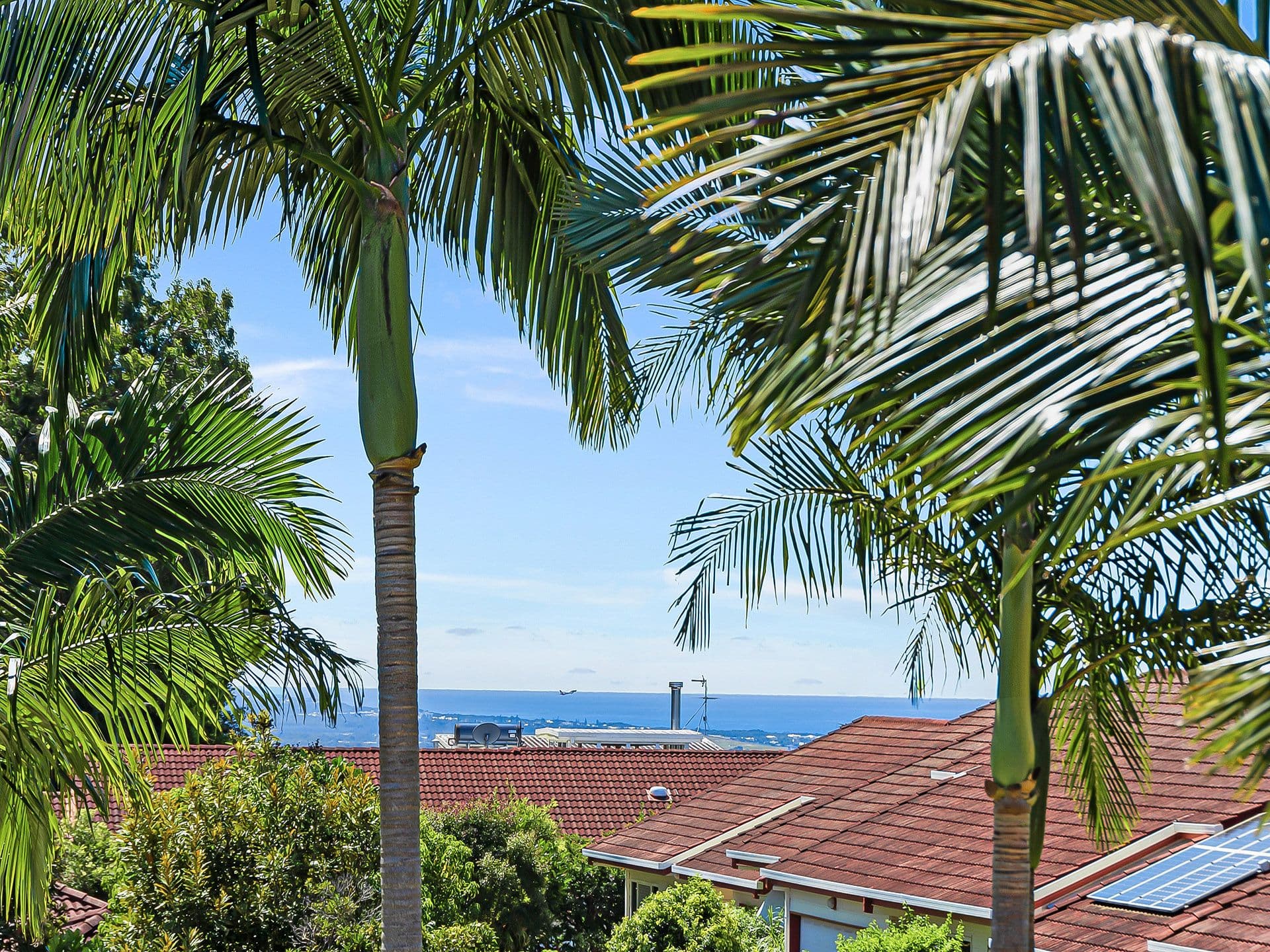 10 Price Lane, Buderim QLD 4556, Buderim - Thumbnail 6