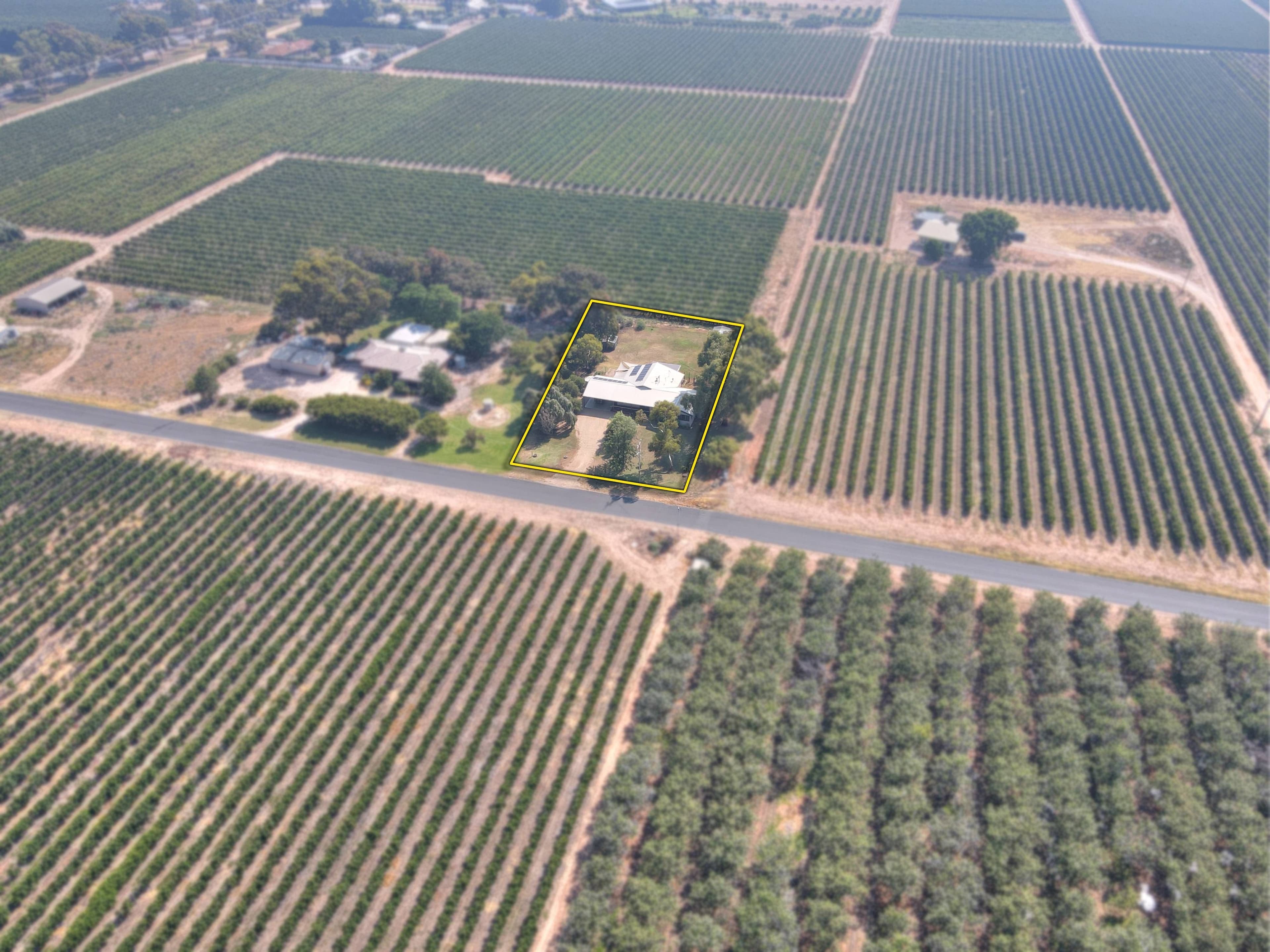 77 Twentyeighth Street, Renmark SA 5341, Renmark South - Thumbnail 4