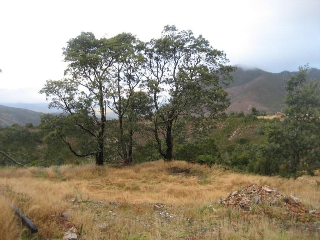 2 Lease Street, GORMANSTON TAS 7466, Gormanston - Thumbnail 5