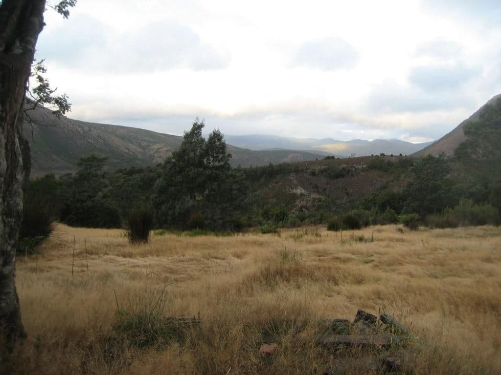 2 Lease Street, GORMANSTON TAS 7466, Gormanston - Thumbnail 7