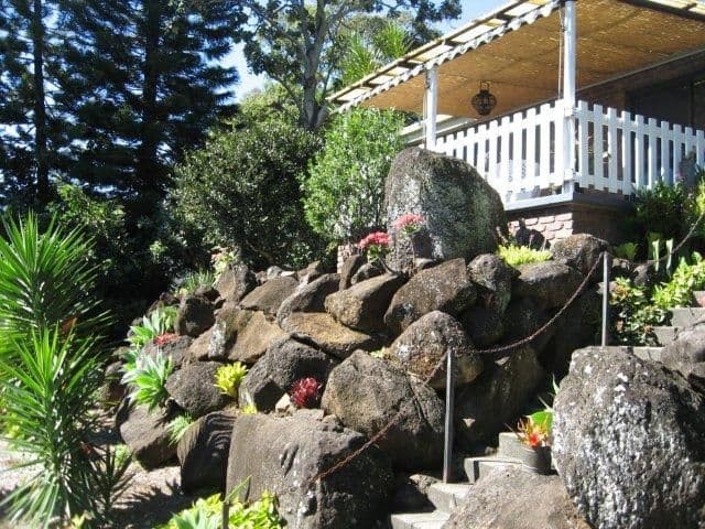 34 Elsie Street, BANORA POINT NSW 2486, Banora Point - Thumbnail 6