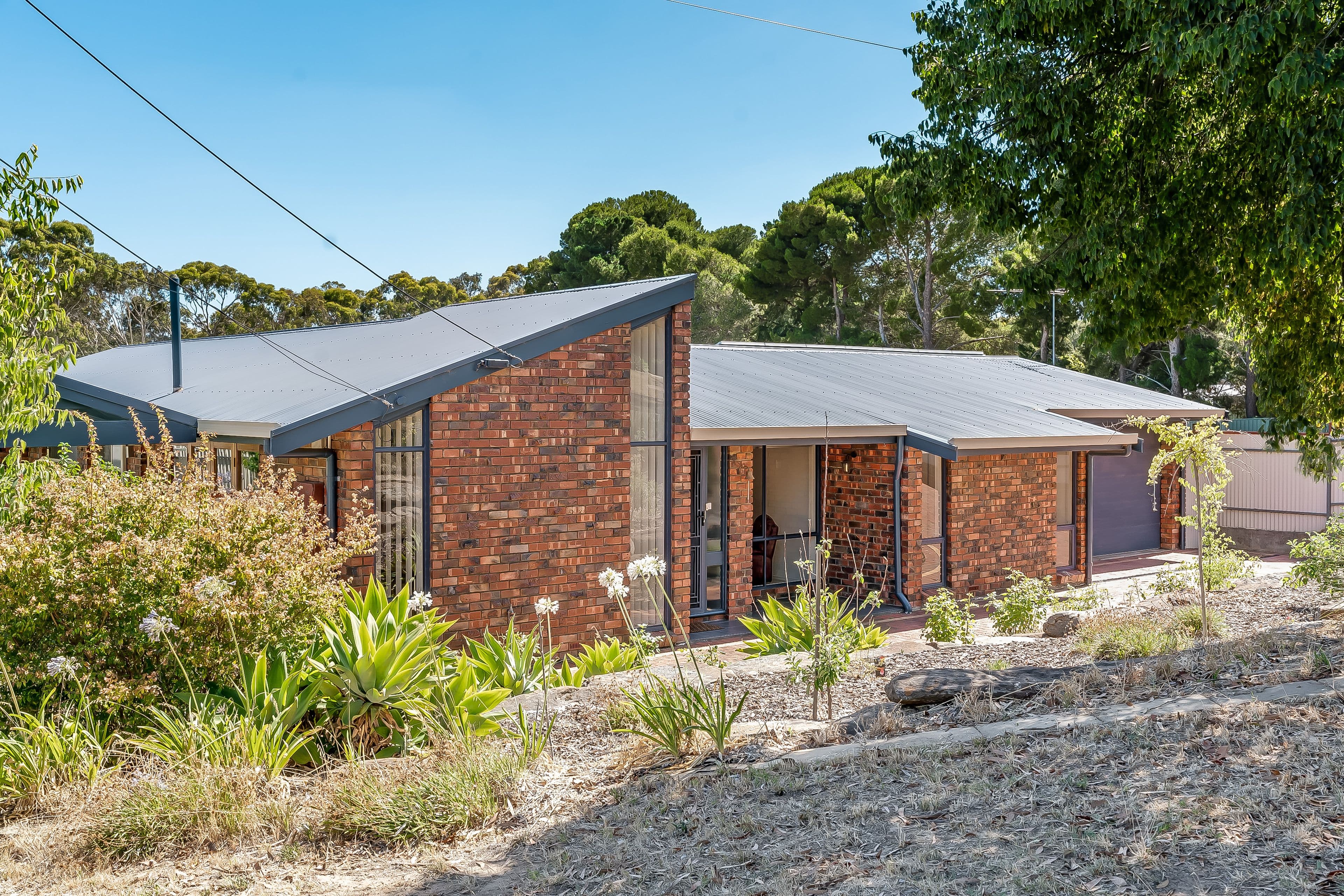 64 Whiting Road, St Agnes SA 5097, St Agnes - Thumbnail 3
