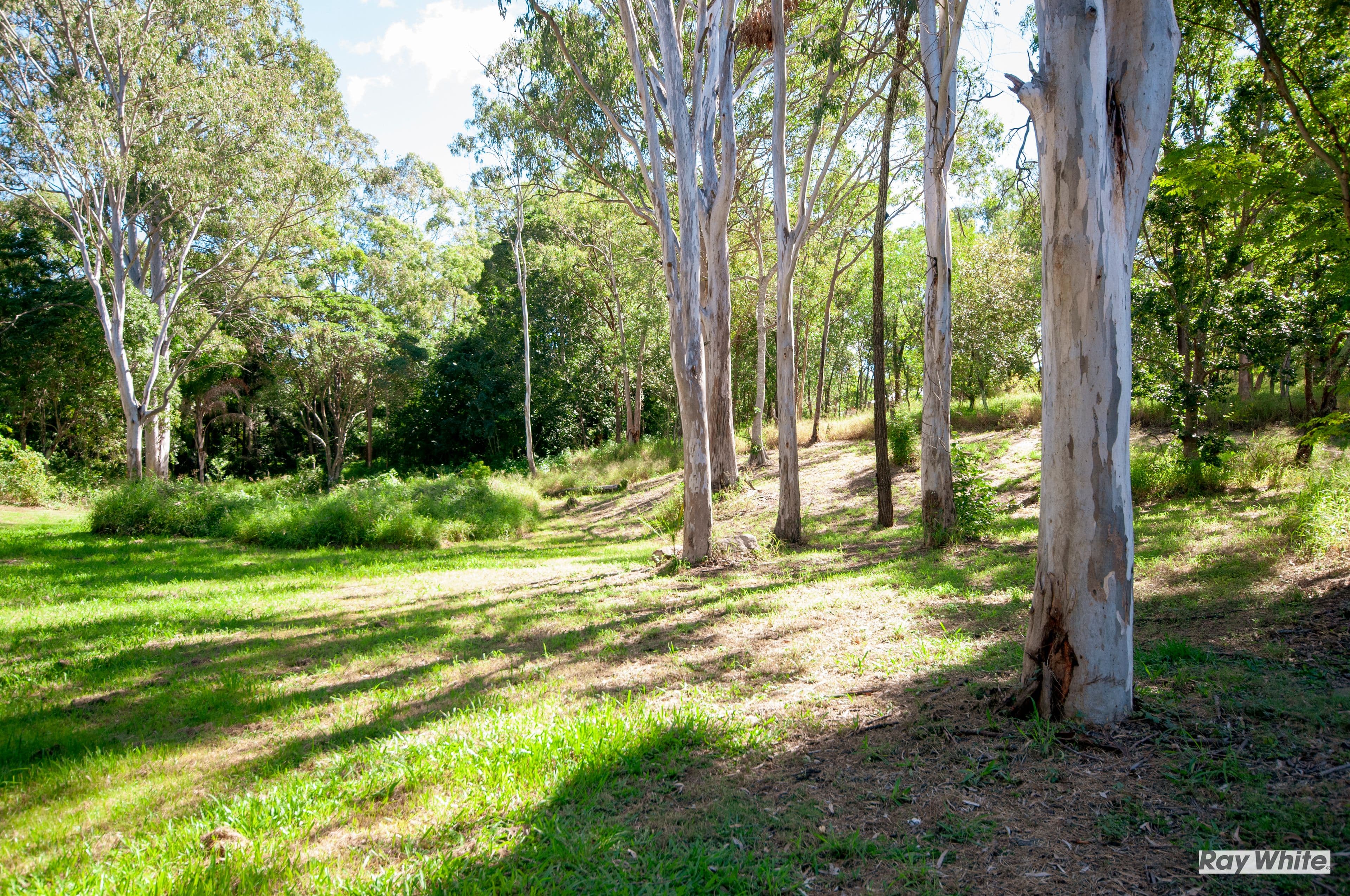 27A Waterworks Road, North Ipswich QLD 4305, North Ipswich - Thumbnail 7