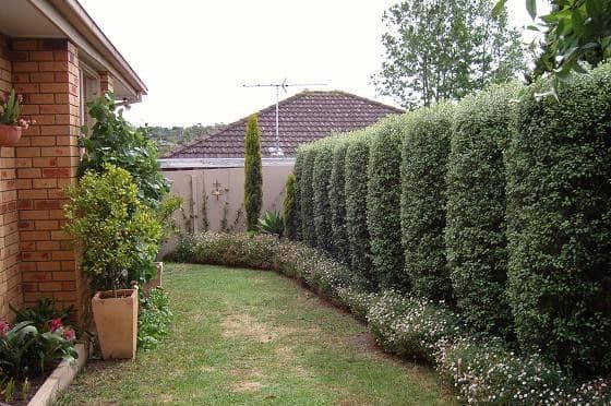 960 Station Street, BOX HILL NORTH VIC 3129, Box Hill North - Thumbnail 3