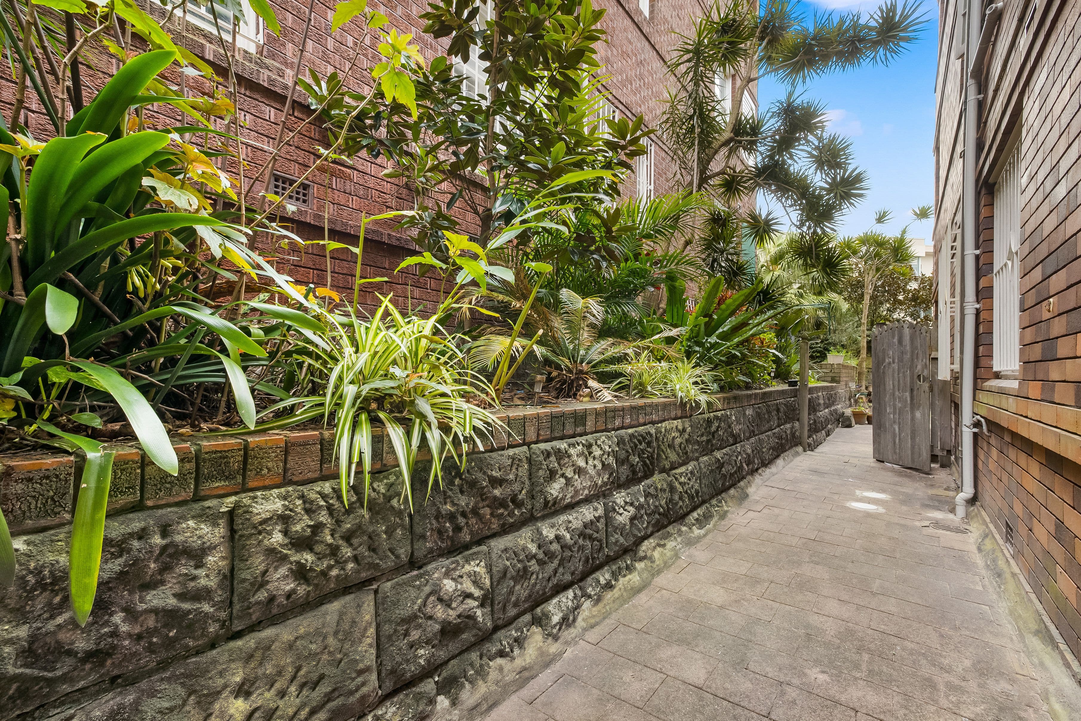 40B Birriga Road, Bellevue Hill NSW 2023, Bellevue Hill - Thumbnail 3