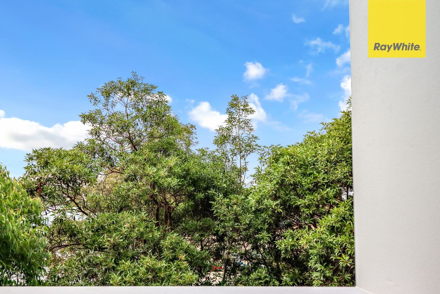 20-22 Briens Road, Northmead NSW 2152, Northmead - Thumbnail 7