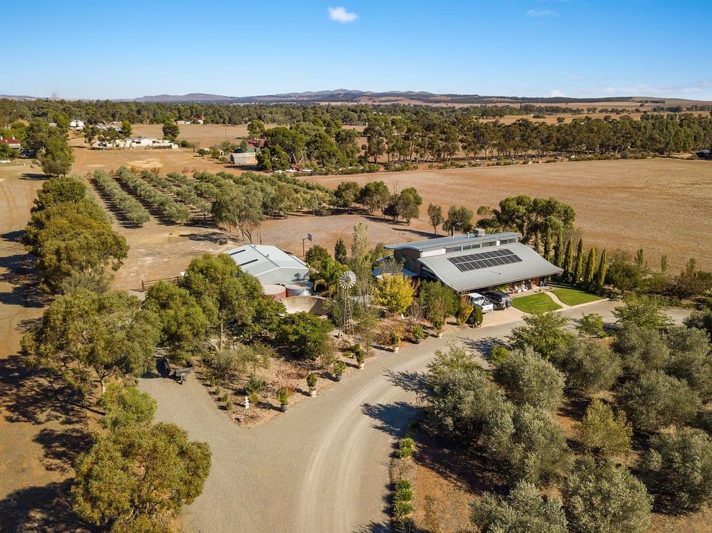 19 Wenhams Road, Jamestown SA 5491, Jamestown - Thumbnail 3
