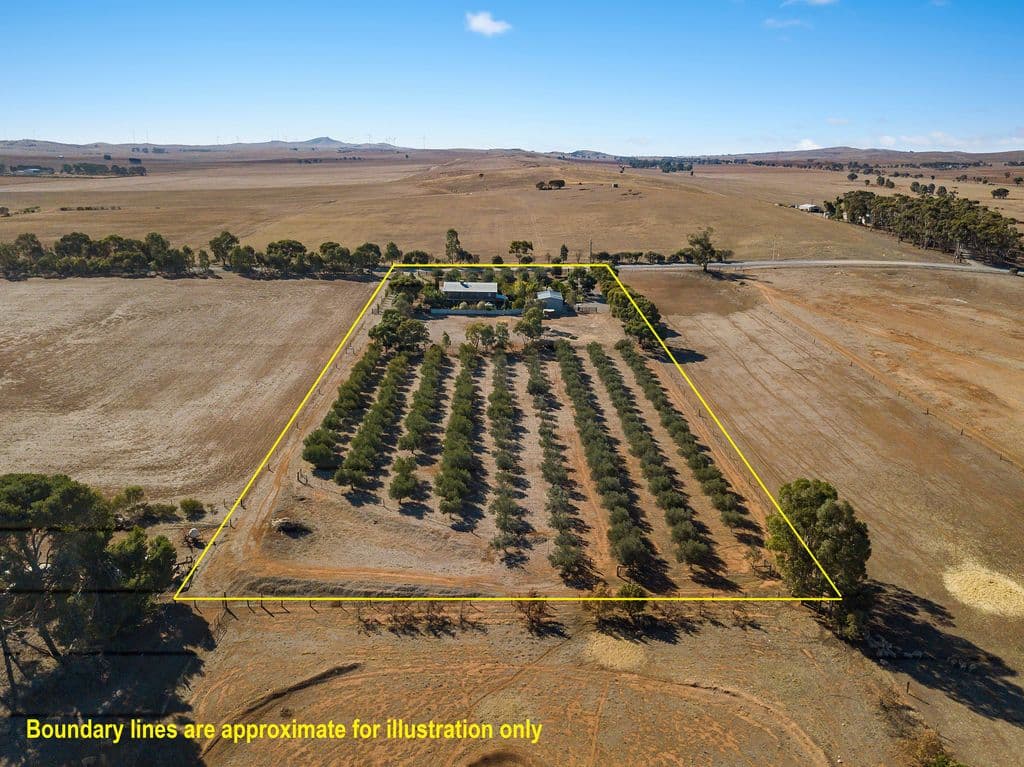 19 Wenhams Road, Jamestown SA 5491, Jamestown - Thumbnail 5